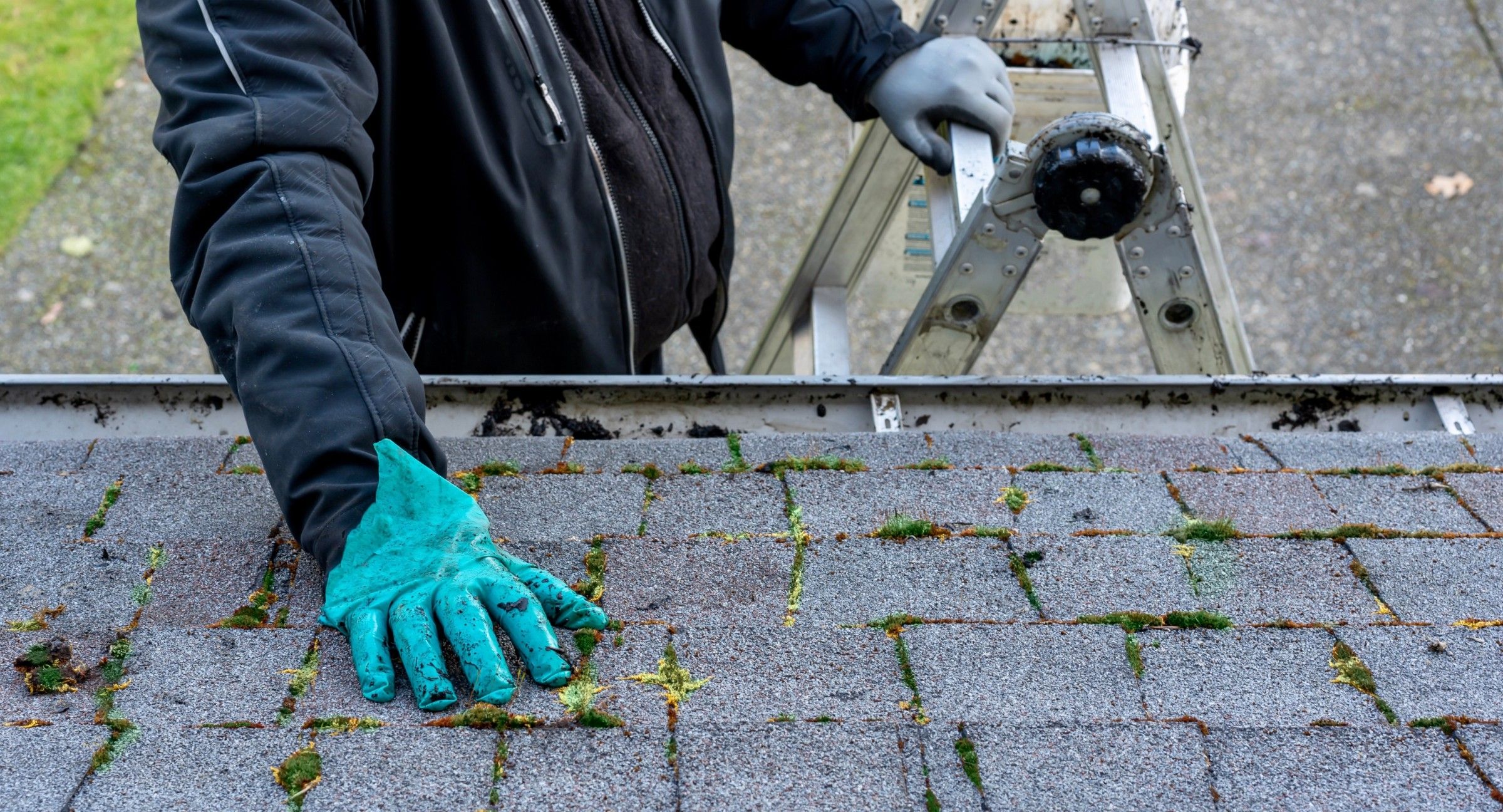Featured image for “How to Protect Your Roof & Show It Some Love This Season”