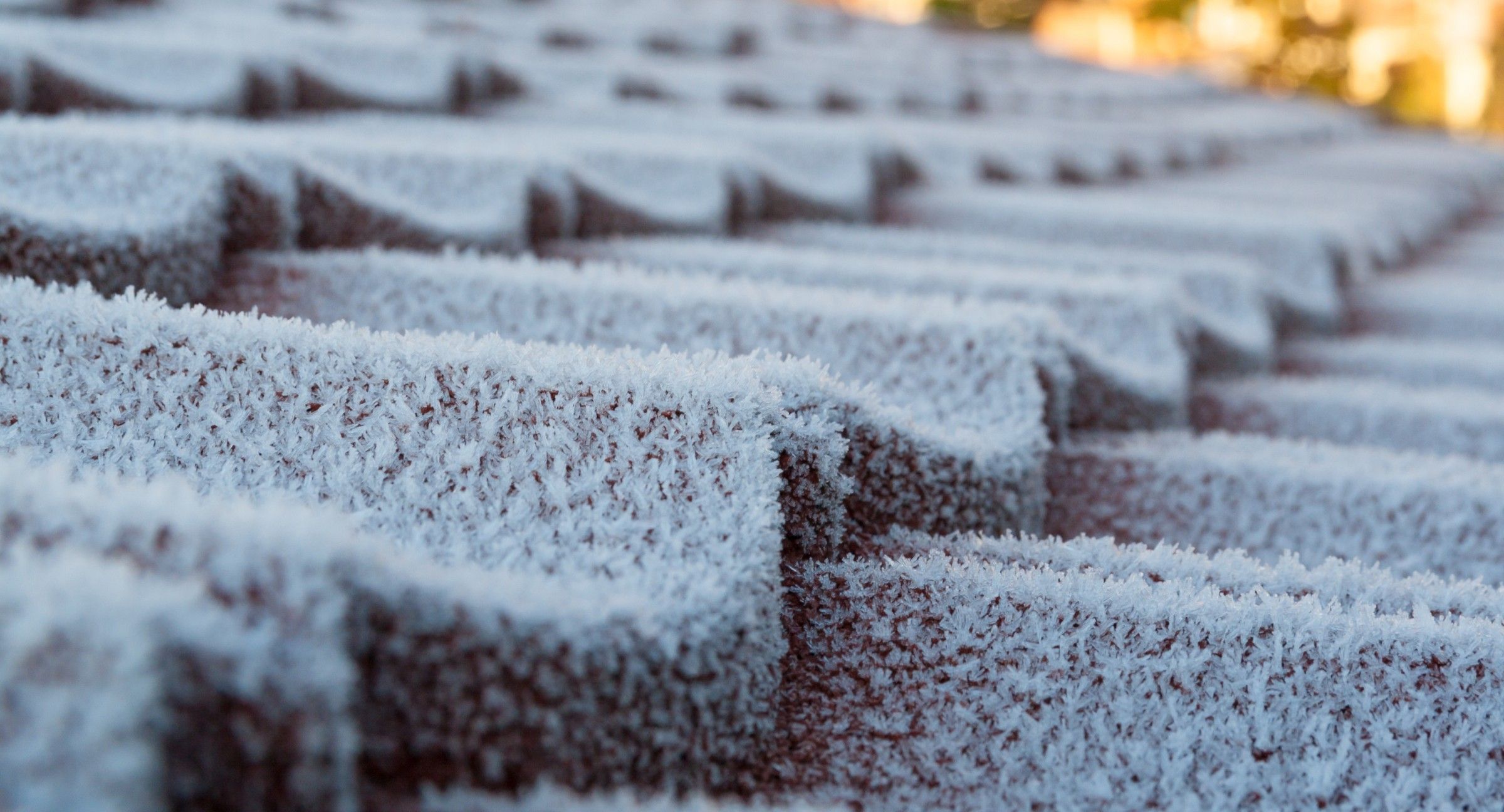 Featured image for “Preparing Your Roof for Winter in San Diego”